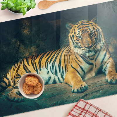 Snijplanken van glas Tijger liggend op de rotsen