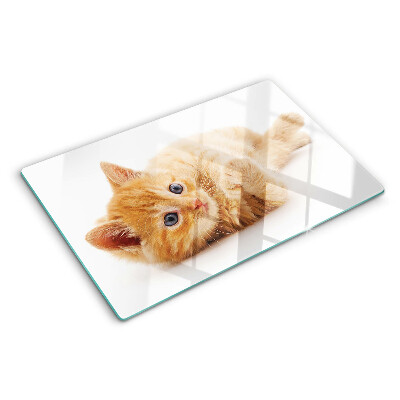 Snijplanken glas Roodharig kitten op een witte achtergrond