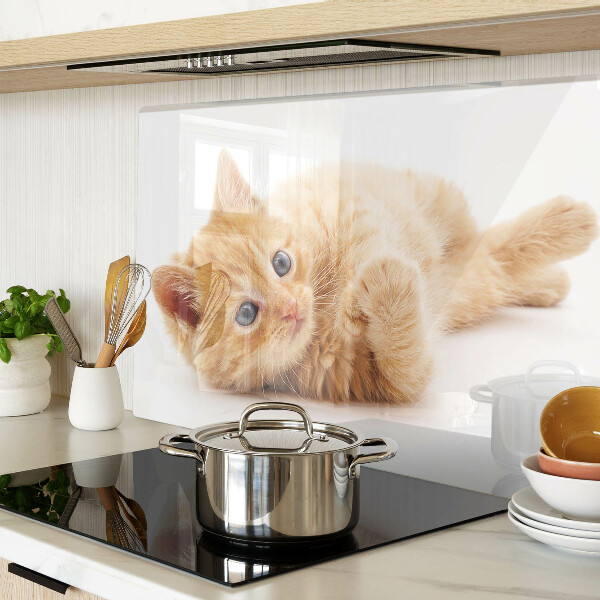 Snijplanken glas Roodharig kitten op een witte achtergrond