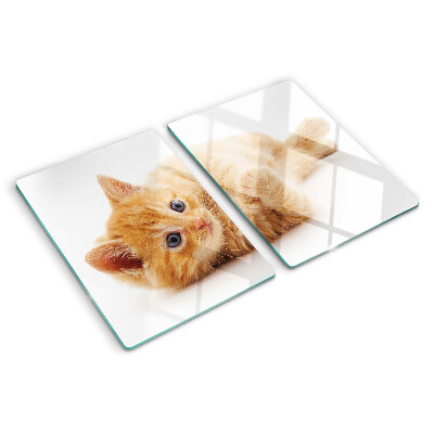 Snijplanken glas Roodharig kitten op een witte achtergrond