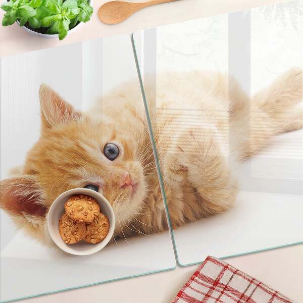 Snijplanken glas Roodharig kitten op een witte achtergrond