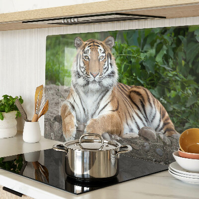 Snijplanken van glas Tijger in zijn natuurlijke habitat