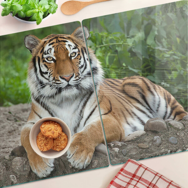 Snijplanken van glas Tijger in zijn natuurlijke habitat