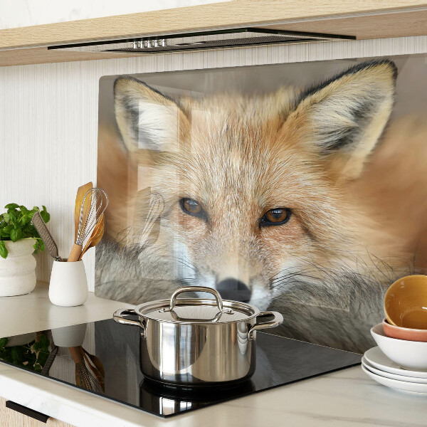 Szklana deska do krojenia Młody rudy lis