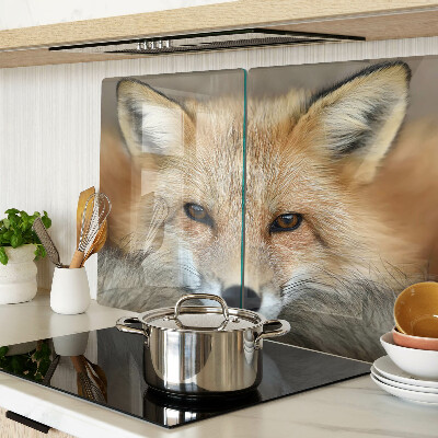 Szklana deska do krojenia Młody rudy lis