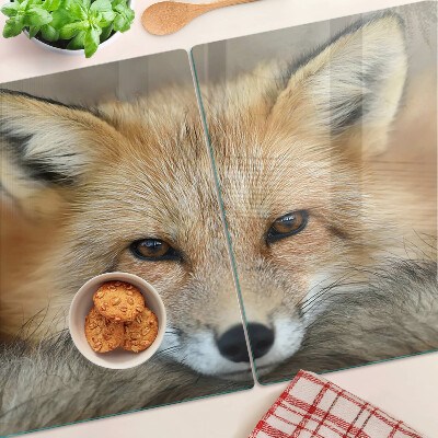 Szklana deska do krojenia Młody rudy lis