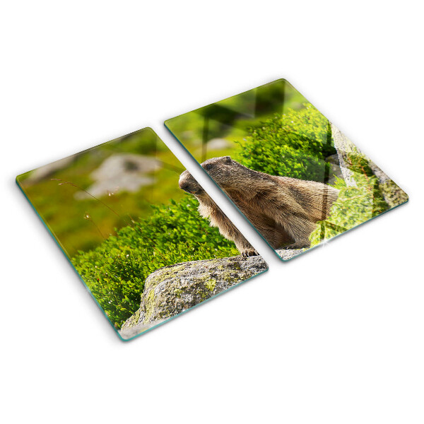 Deska kuchenna szklana Marmot na tle zielonej trawy