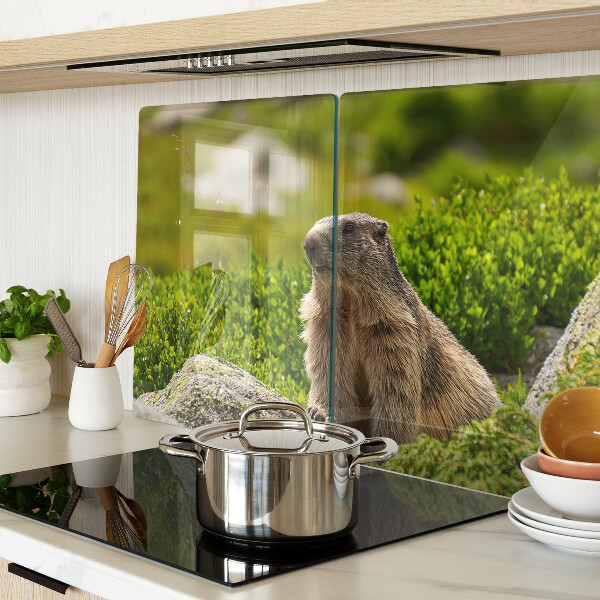 Snijplanken van glas Marmot tegen een achtergrond van groen gras