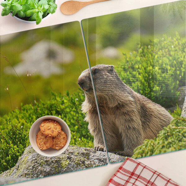 Deska kuchenna szklana Marmot na tle zielonej trawy