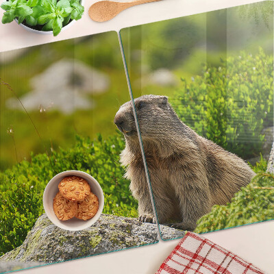 Snijplanken van glas Marmot tegen een achtergrond van groen gras