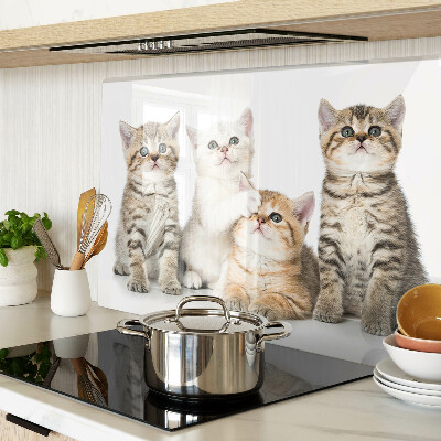 Snijplanken van glas Een groepje kittens