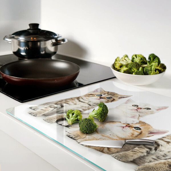 Snijplanken van glas Een groepje kittens