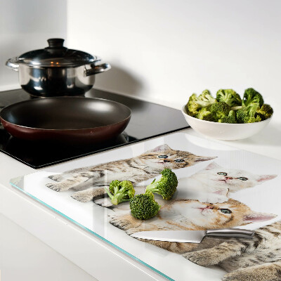 Snijplanken van glas Een groepje kittens