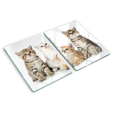 Szklana deska do krojenia Stado kotków