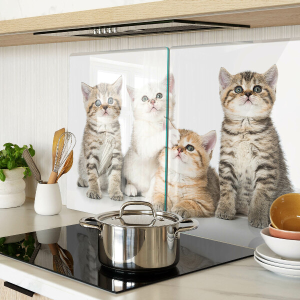 Snijplanken van glas Een groepje kittens