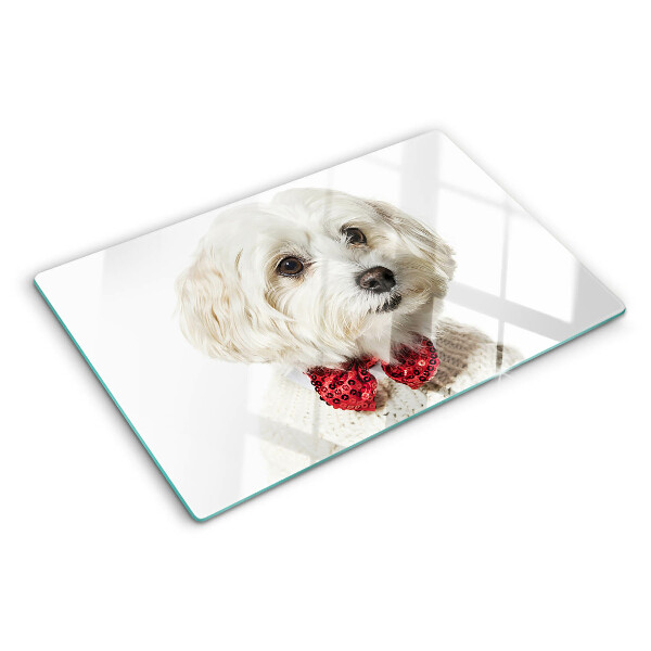 Glazen snijplanken Een hond in een trui met een strik.