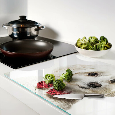 Szklana deska kuchenna Pies w sweterku z kokardą