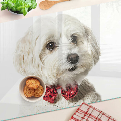Szklana deska kuchenna Pies w sweterku z kokardą