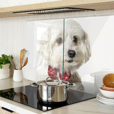 Szklana deska kuchenna Pies w sweterku z kokardą