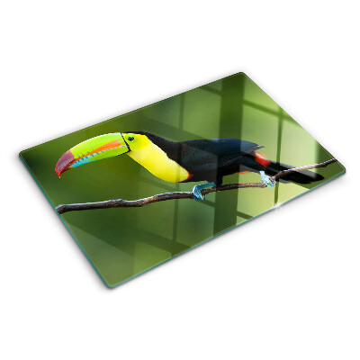 Szklana deska kuchenna Tukan na gałęzi