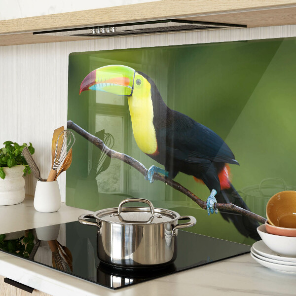 Szklana deska kuchenna Tukan na gałęzi