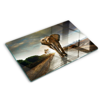 Deska kuchenna szklana Słoń na drodze o zachodzie słońca