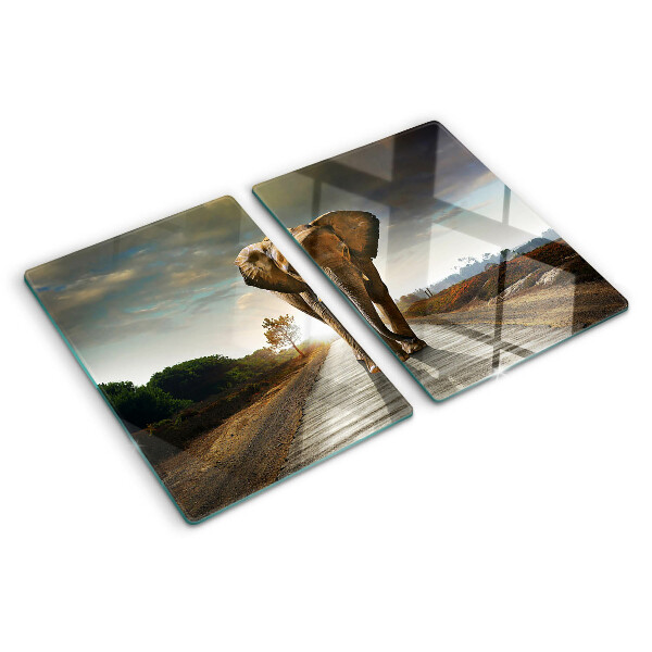 Deska kuchenna szklana Słoń na drodze o zachodzie słońca