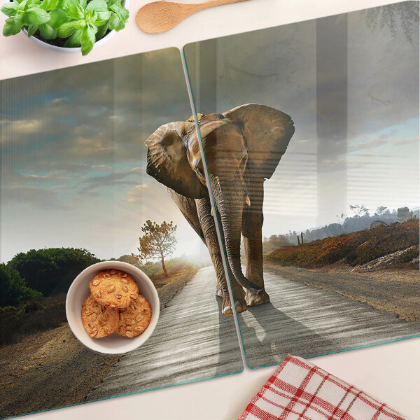 Glazen snijplanken Olifant op de weg bij zonsondergang