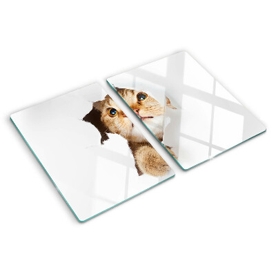 Snijplanken glas Een kat die door een gat in de muur kijkt.