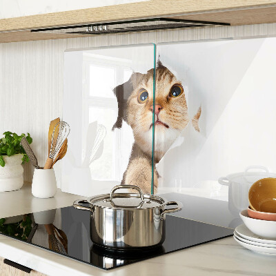 Deska kuchenna szklana Kot patrzący przez dziurę w ścianie