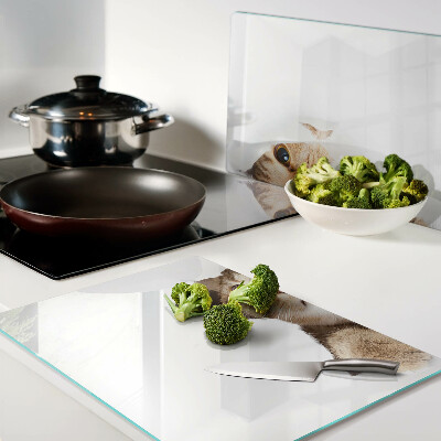 Deska kuchenna szklana Kot patrzący przez dziurę w ścianie