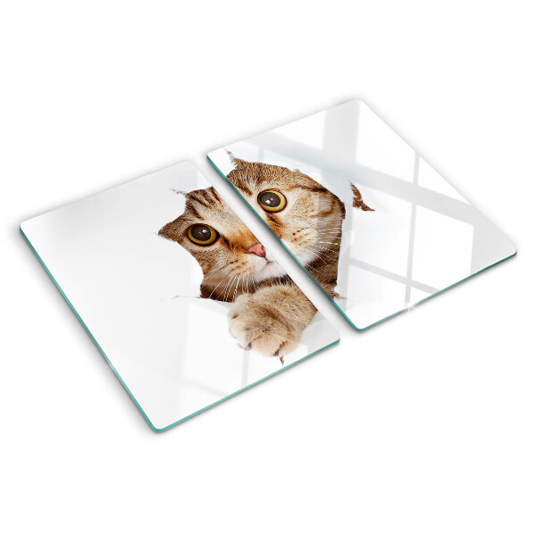 Glazen snijplanken Een kat die uit een gat komt