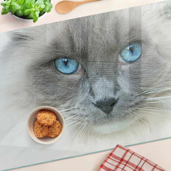 Snijplanken van glas Een kat met blauwe ogen