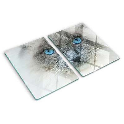 Snijplanken van glas Een kat met blauwe ogen