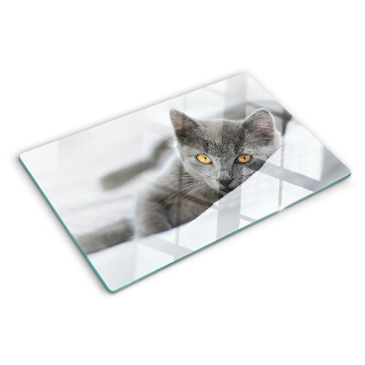 Snijplanken glas Een kat met gele ogen