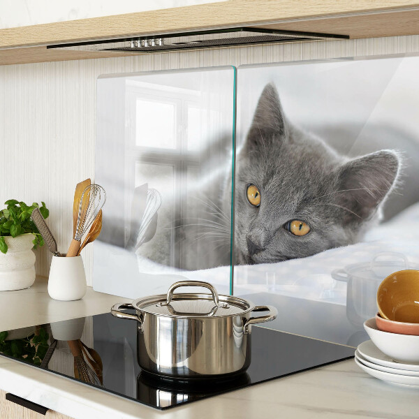 Snijplanken glas Een kat met gele ogen