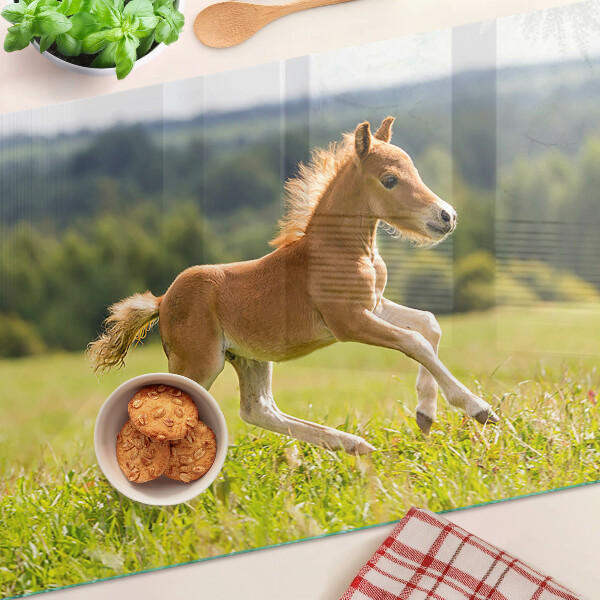 Snijplanken van glas Veulen in de wei