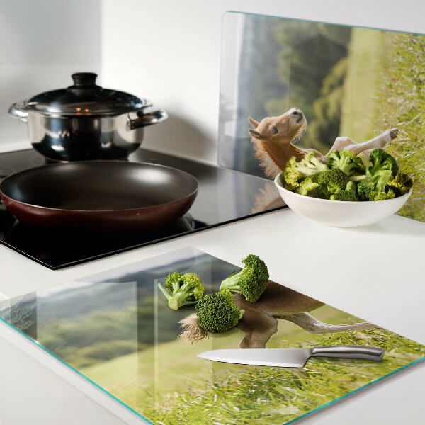 Snijplanken van glas Veulen in de wei