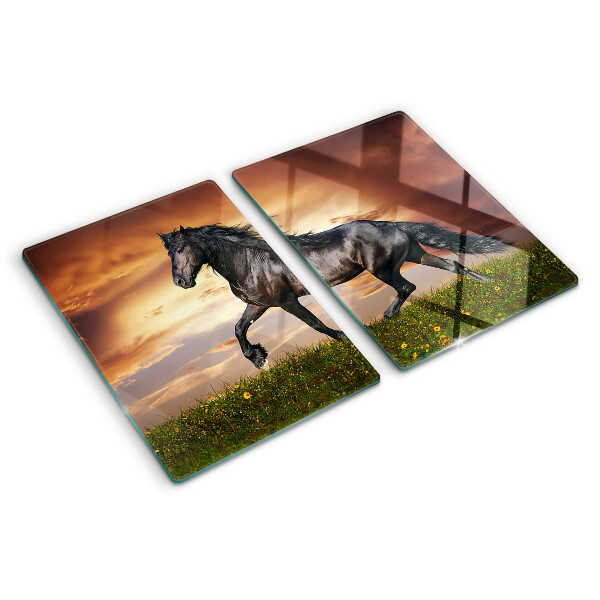 Snijplanken glas Een paard tegen de achtergrond van de ondergaande zon.