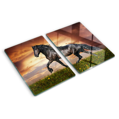 Snijplanken glas Een paard tegen de achtergrond van de ondergaande zon.