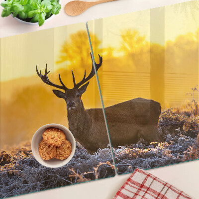 Snijplanken glas Een hert tegen de achtergrond van een ochtendlandschap.