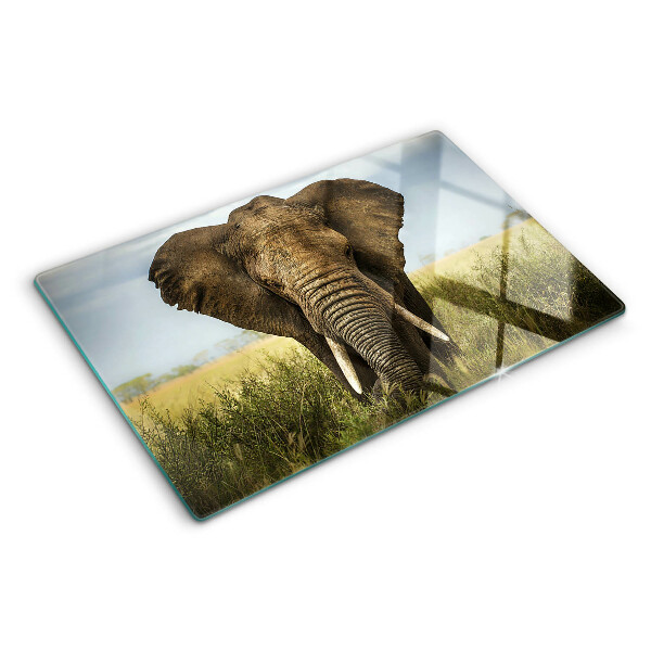 Snijplanken glas Een olifant tegen de achtergrond van de Afrikaanse savanne.