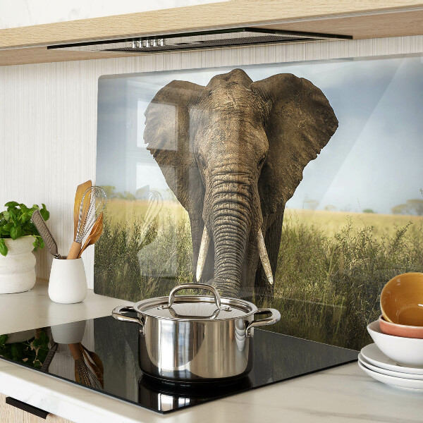 Snijplanken glas Een olifant tegen de achtergrond van de Afrikaanse savanne.