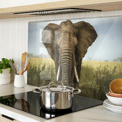 Snijplanken glas Een olifant tegen de achtergrond van de Afrikaanse savanne.