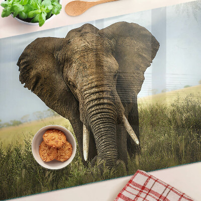 Deska kuchenna szklana Słoń na tle afrykańskiej sawanny