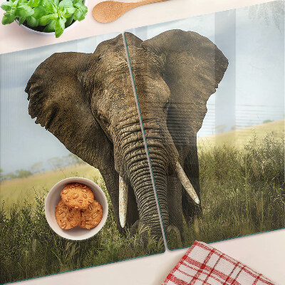 Snijplanken glas Een olifant tegen de achtergrond van de Afrikaanse savanne.