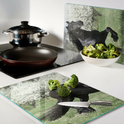 Glazen snijplanken Zwart paard in de wei