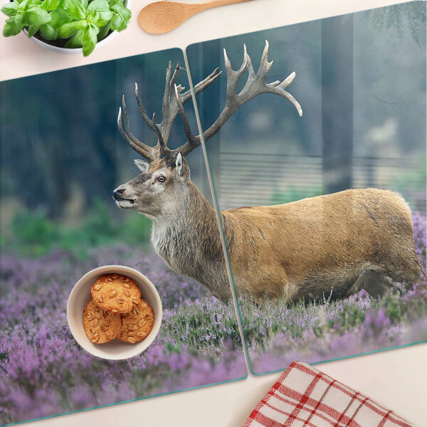 Snijplanken van glas Herten in een lavendellandschap