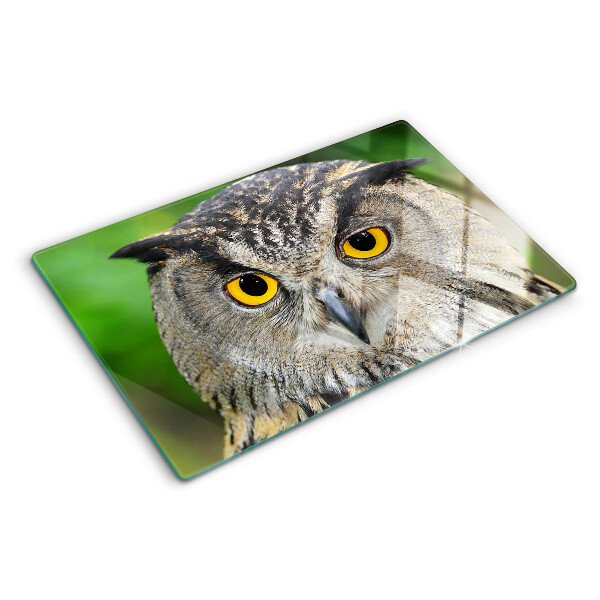 Szklana deska kuchenna Sowa z wyrazistymi oczami
