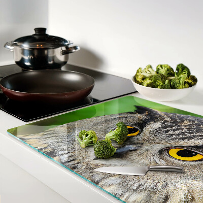 Glazen snijplanken Een uil met expressieve ogen